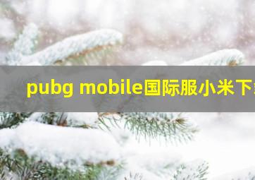 pubg mobile国际服小米下载